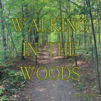 VA - Walking in the Woods Autumn (2023) MP3