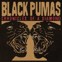 Black Pumas - Chronicles of a Diamond (2023) MP3