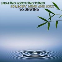 VA - Healing Soothing Tunes for Body, Mind and Soul to Unwind (2023) MP3