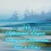 VA - 30 Sophisticated, Elegant, Inviting and Harmonious Tunes to Relax (2023) MP3