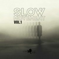 VA - Slow Movement, Vol.1-4 (2023) MP3