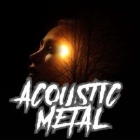 VA - Acoustic Metal (2023) MP3