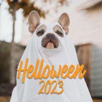 VA - Helloween (2023) MP3