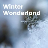 VA - Winter Wonderland (2023) MP3