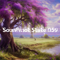 VA - SounEmot State [59] (2023) MP3