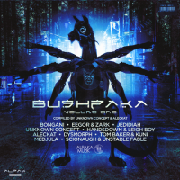 VA - BushpaKa (2021) MP3