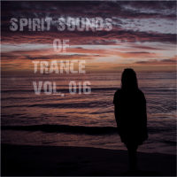 VA - Spirit Sounds of Trance [16] (2023) MP3