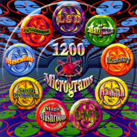 1200 Micrograms - 1200 Micrograms (2002) MP3