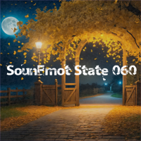 VA - SounEmot State [60] (2023) MP3