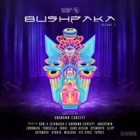 VA - Bushpaka [02] (2022) MP3