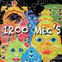 1200 Micrograms - 1200 Mic's (2013) MP3
