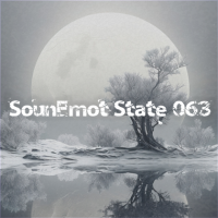 VA - SounEmot State [63] (2023) MP3