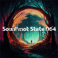 VA - SounEmot State [64] (2023) MP3