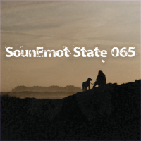 VA - SounEmot State [65] (2023) MP3