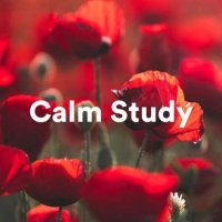 VA - Calm Study (2023) MP3