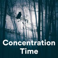VA - Concentration Beats (2023) MP3