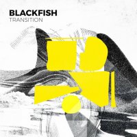 Blackfish - Transition (2022) MP3
