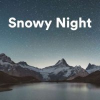 VA - Snowy Night (2023) MP3