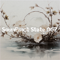 VA - SounEmot State [67] (2023) MP3