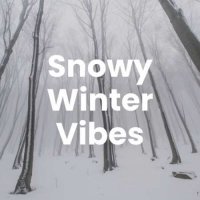 VA - Snowy Winter Vibes (2023) MP3