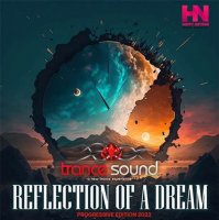 VA - Reflection Of A Dream (2023) MP3