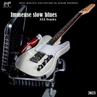 VA - Immense slow blues (2023) MP3