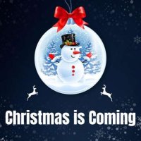 VA - Christmas Is Coming (2023) MP3