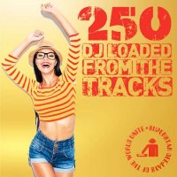 VA - 250 DJ Loaded - From The Tracks (2023) MP3