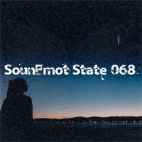 VA - SounEmot State [68] (2023) MP3