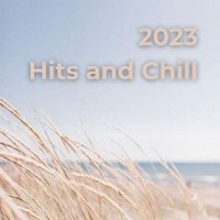 VA - 2023 Hits And Chill (2023) MP3