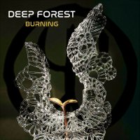 Deep Forest - Burning (2023) MP3