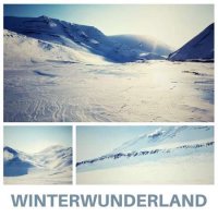 VA - Winterwunderland (2023) MP3