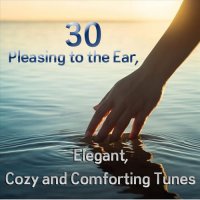 VA - 30 Pleasing to the Ear, Elegant, Cozy and Comforting Tunes (2023) MP3