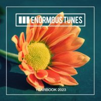 VA - Enormous Tunes - The Yearbook 2023 (2023) MP3