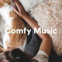 VA - Comfy Music (2023) MP3