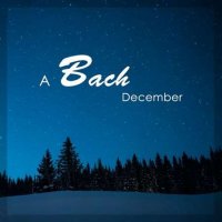 VA - A Bach December (2023) MP3