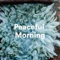 VA - Peaceful Morning (2023) MP3