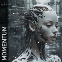 Dj Mane - Momentum (2023) MP3