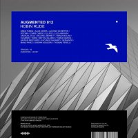 VA - Augmented 012 / Hobin Rude (2023) MP3