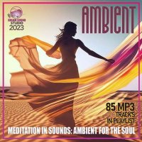 VA - Ambient Meditation In Soundsl (2023) MP3