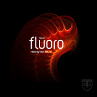 VA - Full On Fluoro [02] (2014) MP3