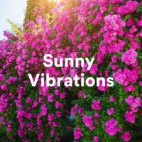 VA - Sunny Vibrations (2023) MP3