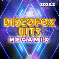 VA - Discofox Hits Megamix [02] (2023) MP3