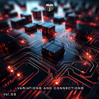 VA - Variations and Connections [03] (2023) MP3