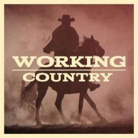 VA - Working Country (2023) MP3