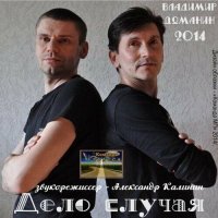 Владимир Доманин - Дело случая (2014) MP3