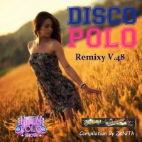 VA - Disco Polo Remix [48] (2023) MP3