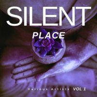 VA - Silent Place, Vol. 1-3 (2023) MP3