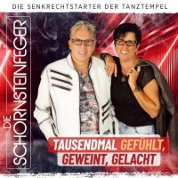 Die Schornsteinfeger - Tausendmal gefuhlt, geweint, gelacht (2023) MP3