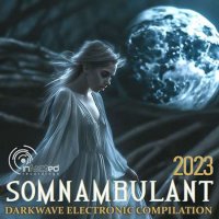 VA - Somnambulant (2023) MP3